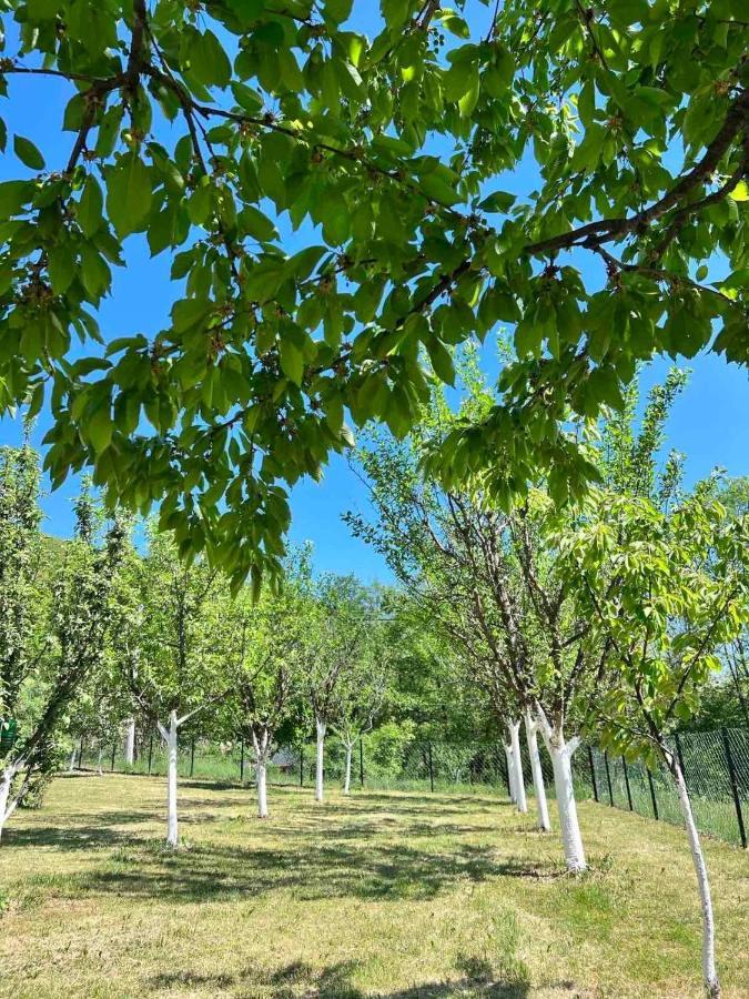 Holiday home Luxury House Bijelo Polje