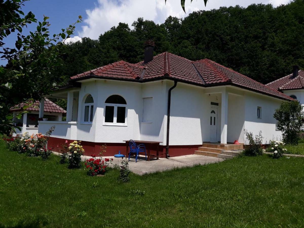Luxury House *